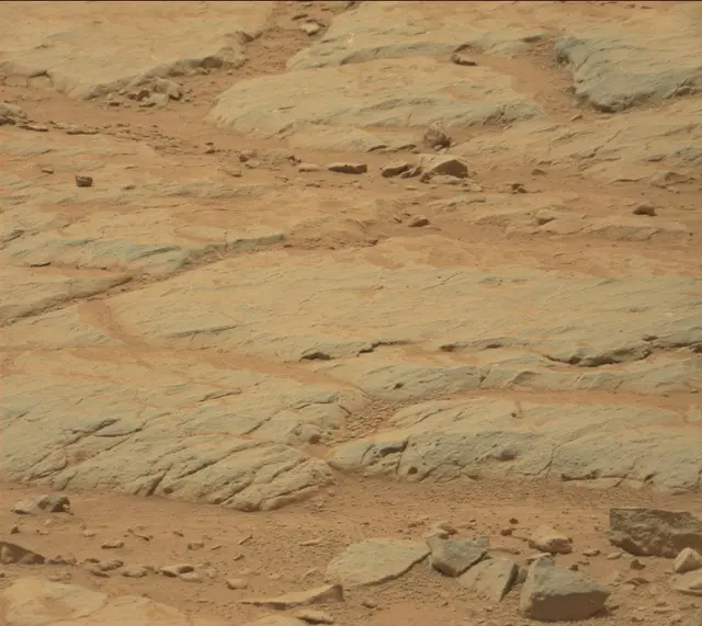 Sol 155: Mast Camera (Mastcam)