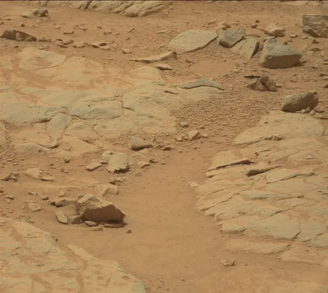 Sol 155: Mast Camera (Mastcam)