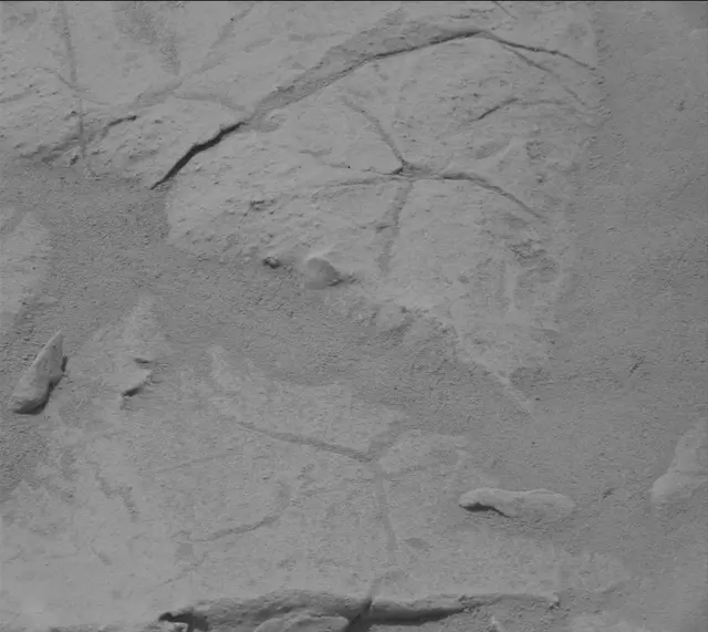 Sol 155: Mast Camera (Mastcam)