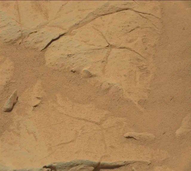 Sol 155: Mast Camera (Mastcam)