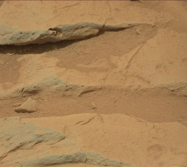 Sol 155: Mast Camera (Mastcam)