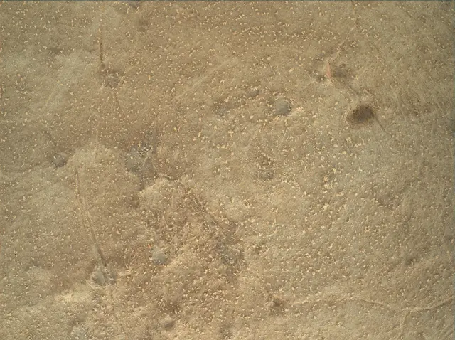 Sol 156: Mars Hand Lens Imager (MAHLI)