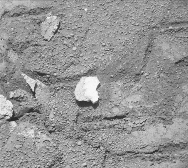Sol 160: Mast Camera (Mastcam)