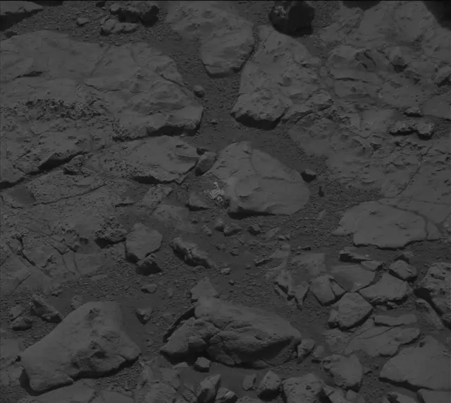 Sol 160: Mast Camera (Mastcam)