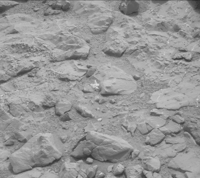 Sol 160: Mast Camera (Mastcam)