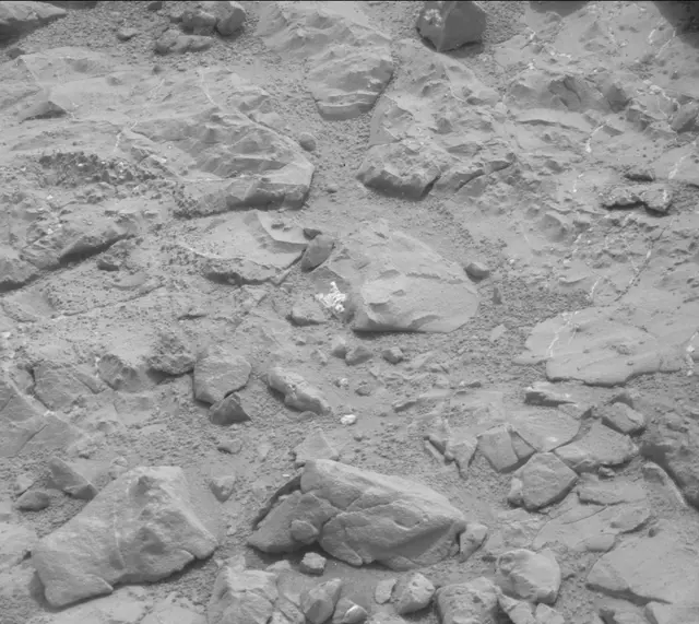 Sol 160: Mast Camera (Mastcam)