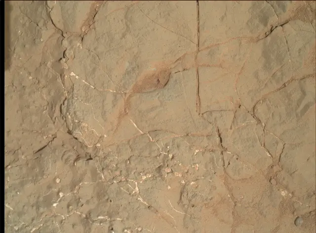 Sol 161: Mars Hand Lens Imager (MAHLI)