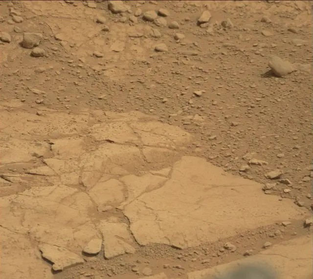 Sol 164: Mast Camera (Mastcam)
