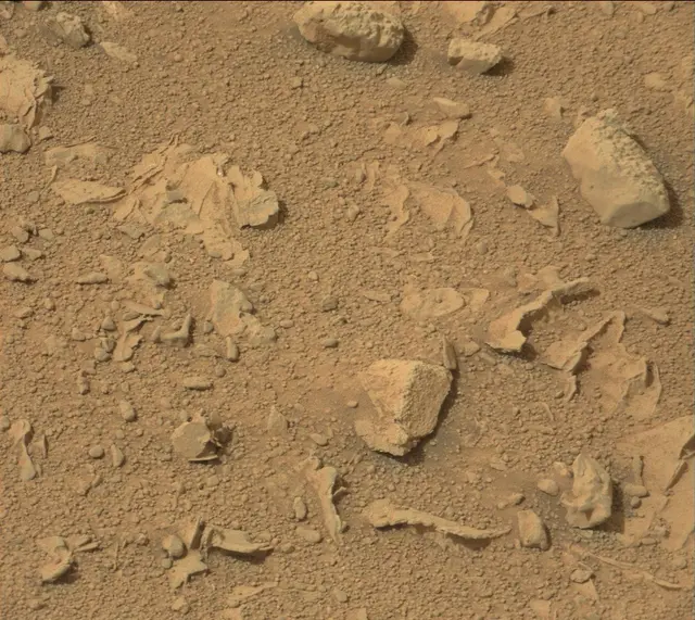 Sol 165: Mast Camera (Mastcam)