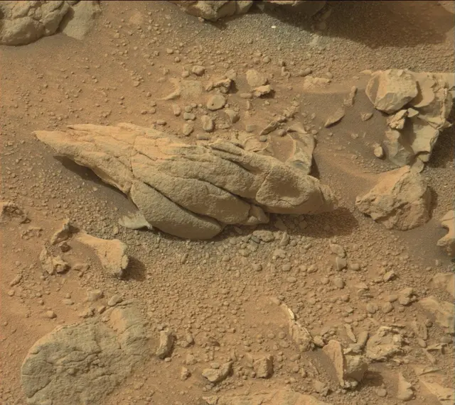 Sol 165: Mast Camera (Mastcam)