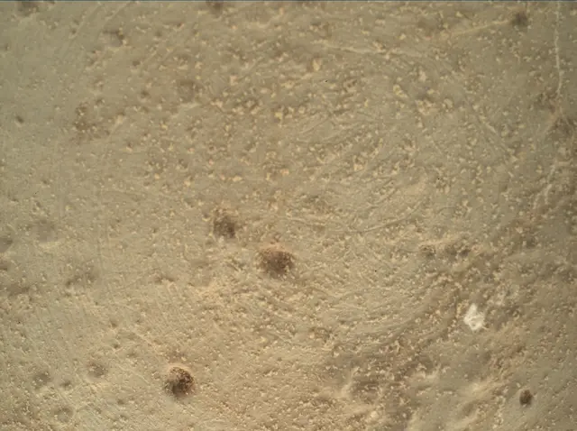 Sol 169: Mars Hand Lens Imager (MAHLI)