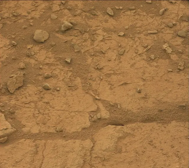 Sol 170: Mast Camera (Mastcam)