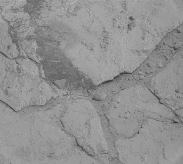 Sol 181: Mast Camera (Mastcam)