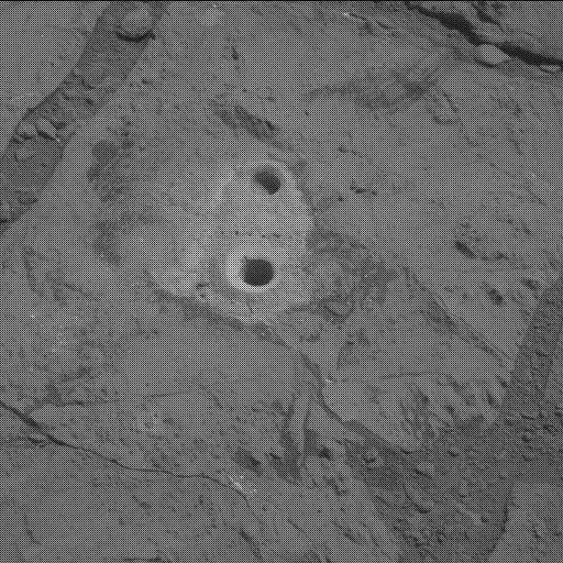 Sol 183: Mast Camera (Mastcam)