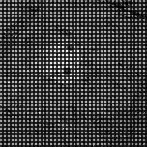 Sol 183: Mast Camera (Mastcam)