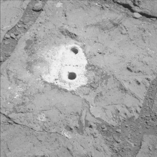 Sol 183: Mast Camera (Mastcam)