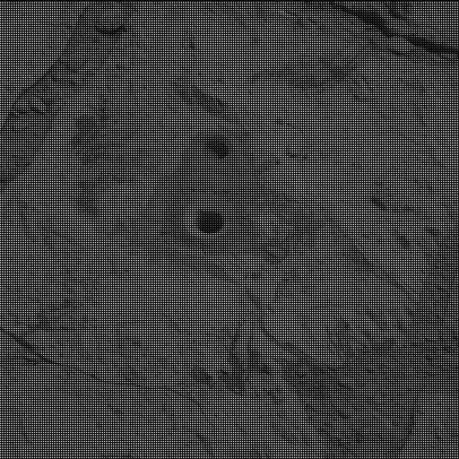 Sol 183: Mast Camera (Mastcam)