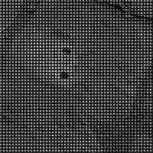 Sol 226: Mast Camera (Mastcam)