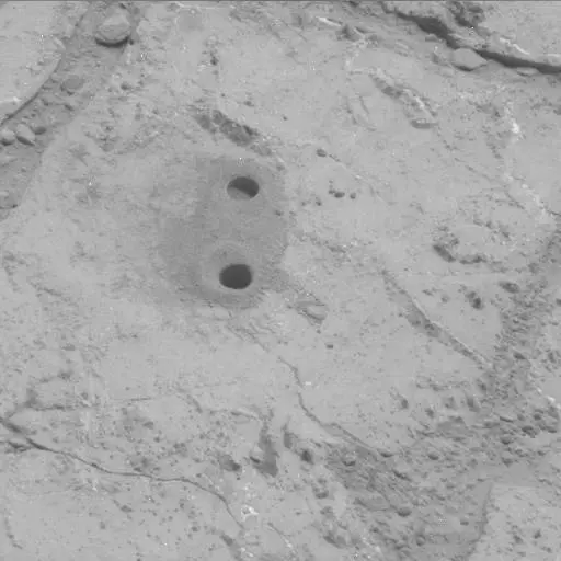 Sol 226: Mast Camera (Mastcam)