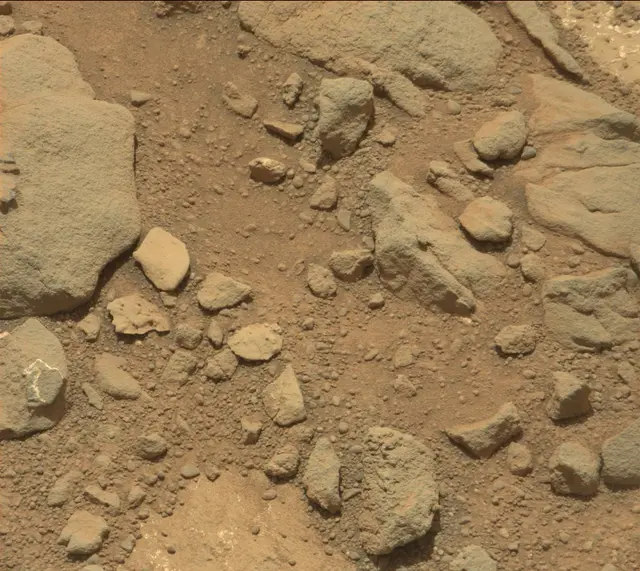 Sol 232: Mast Camera (Mastcam)