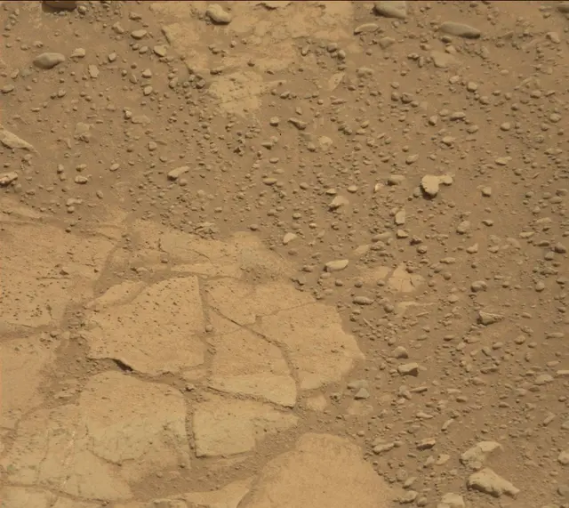 Sol 233: Mast Camera (Mastcam)