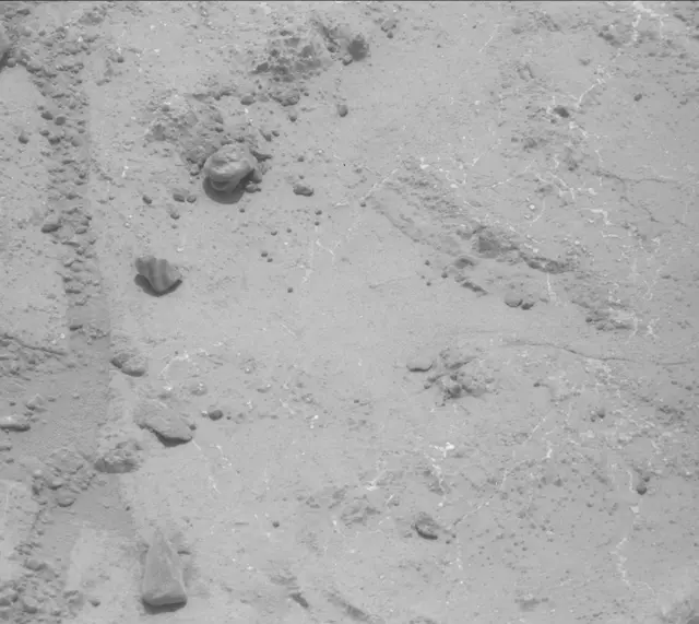 Sol 233: Mast Camera (Mastcam)