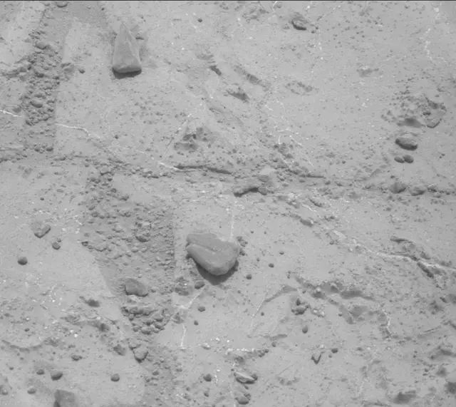 Sol 233: Mast Camera (Mastcam)