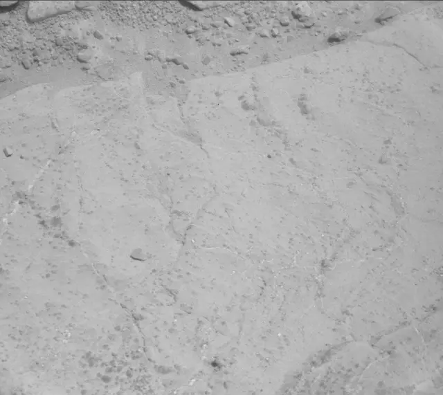 Sol 233: Mast Camera (Mastcam)