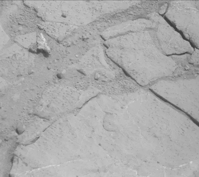 Sol 233: Mast Camera (Mastcam)