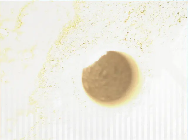 Sol 279: Mars Hand Lens Imager (MAHLI)