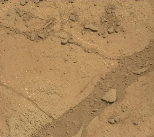 Sol 290: Mast Camera (Mastcam)