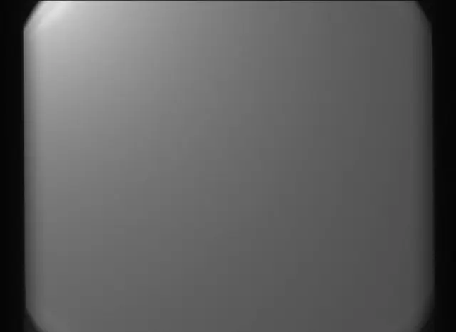 Sol 295: Mast Camera (Mastcam)