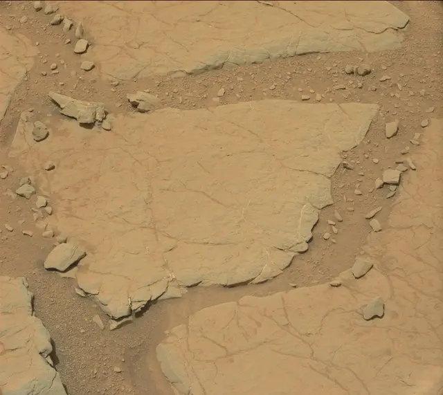 Sol 297: Mast Camera (Mastcam)