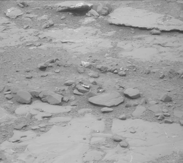 Sol 297: Mast Camera (Mastcam)