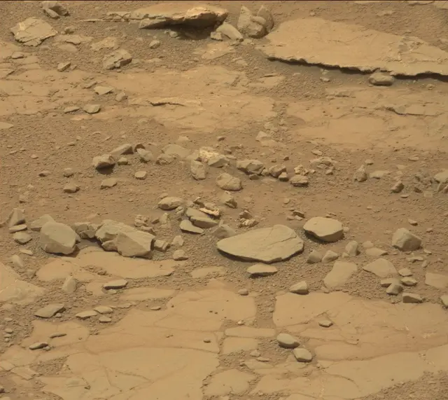Sol 297: Mast Camera (Mastcam)