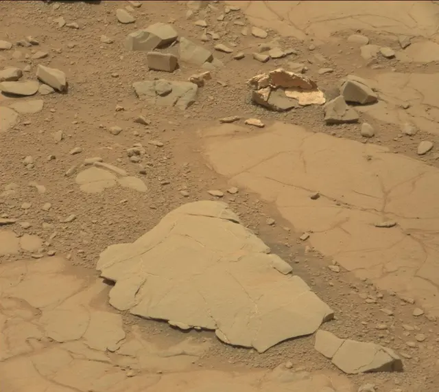 Sol 297: Mast Camera (Mastcam)