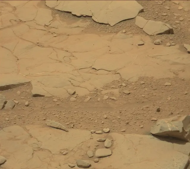 Sol 297: Mast Camera (Mastcam)
