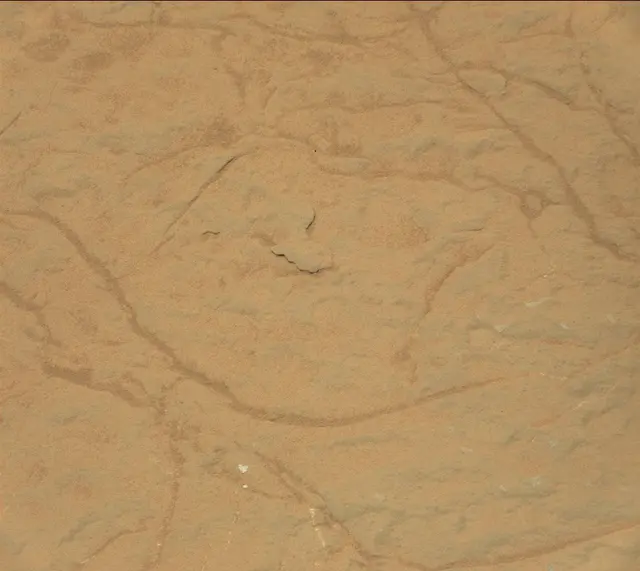 Sol 297: Mast Camera (Mastcam)