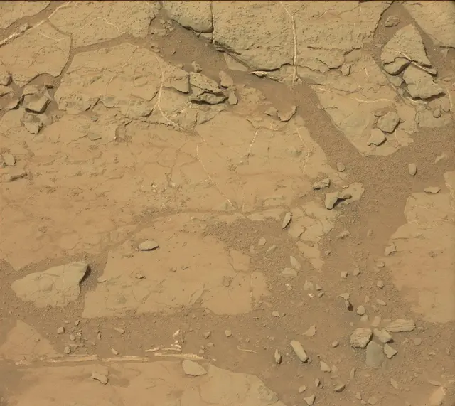 Sol 298: Mast Camera (Mastcam)