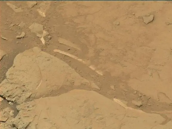 Sol 298: Mast Camera (Mastcam)