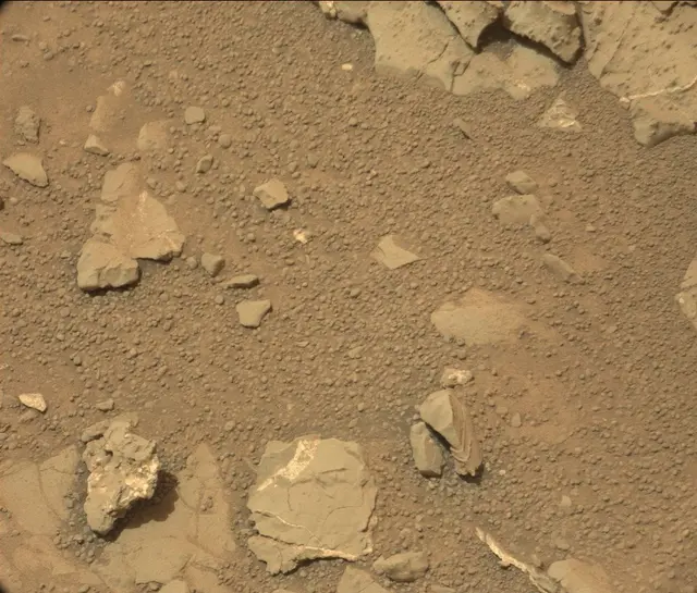 Sol 298: Mast Camera (Mastcam)