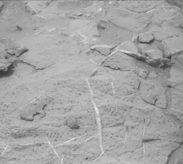 Sol 298: Mast Camera (Mastcam)