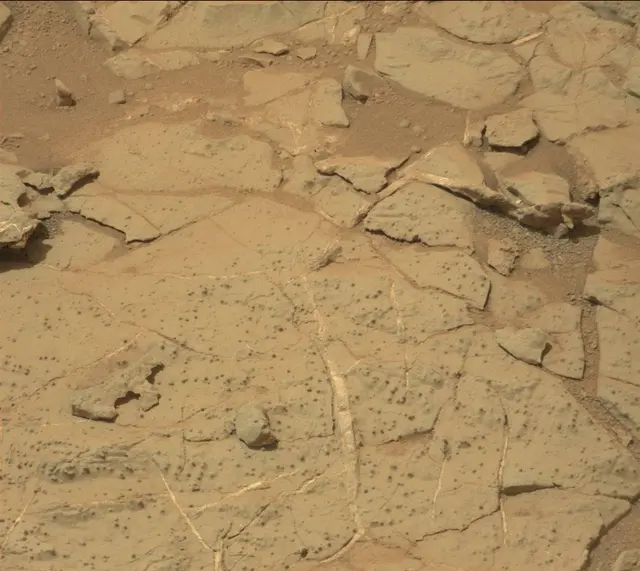 Sol 298: Mast Camera (Mastcam)