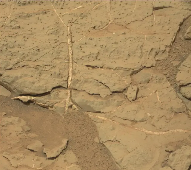 Sol 298: Mast Camera (Mastcam)