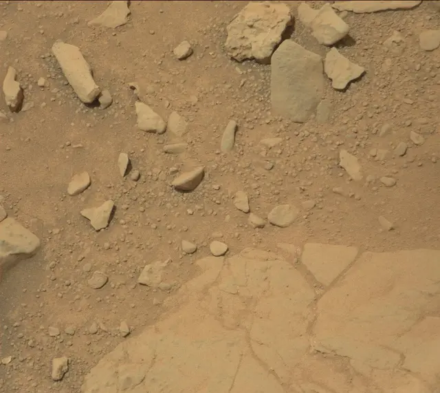 Sol 298: Mast Camera (Mastcam)