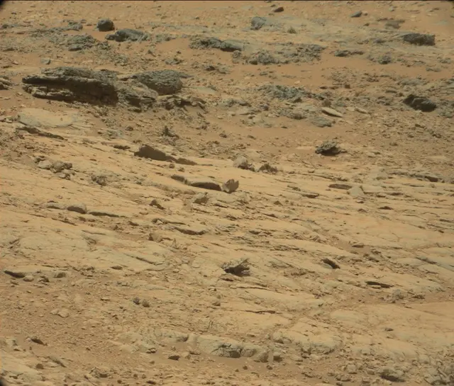 Sol 300: Mast Camera (Mastcam)