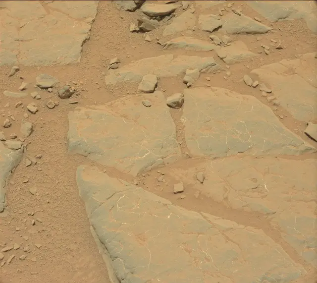 Sol 301: Mast Camera (Mastcam)