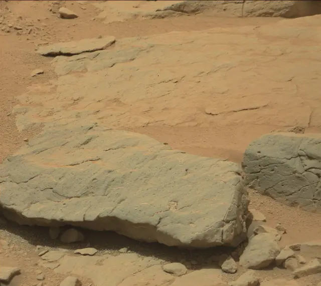 Sol 301: Mast Camera (Mastcam)