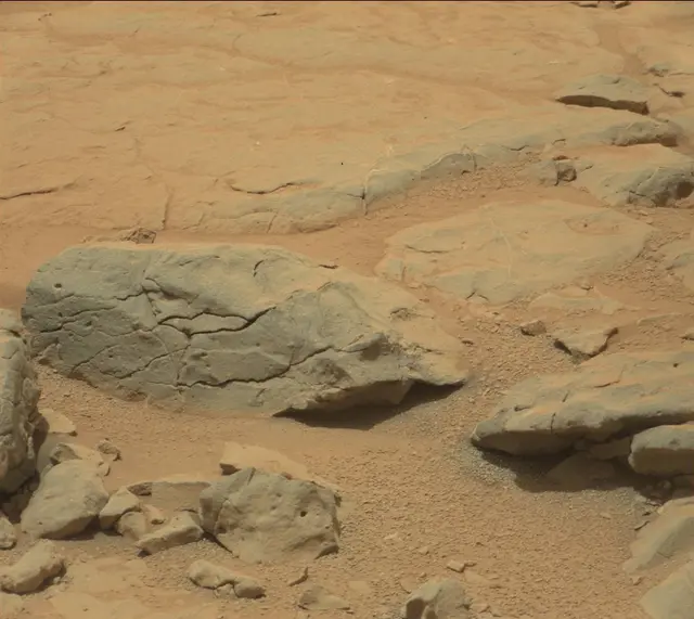 Sol 301: Mast Camera (Mastcam)