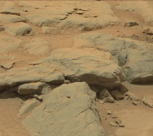 Sol 301: Mast Camera (Mastcam)